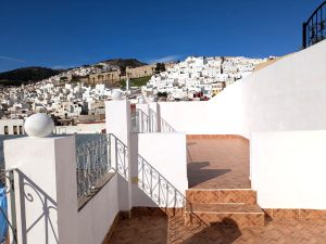 Tétouan-Medina — Traditional Riad in the Heart of the City — preview 7