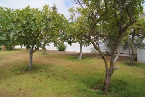 Tétouan, Oued Malah – Villa à louer — aperçu 3